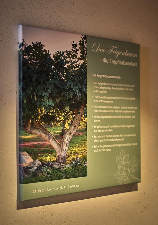 Zedernhof Gesundheits- & Wellnesshotel Stamsried Kültér fotó