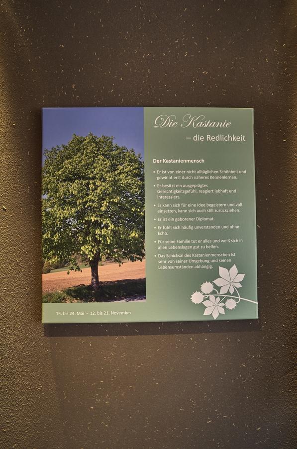 Zedernhof Gesundheits- & Wellnesshotel Stamsried Kültér fotó